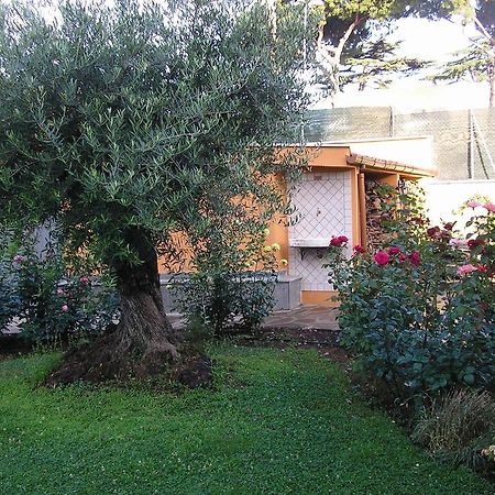 Al Vecchio Olivo Acomodação com café da manhã Frascati Exterior foto