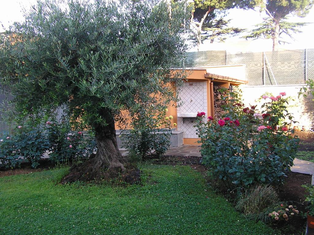 Al Vecchio Olivo Acomodação com café da manhã Frascati Exterior foto