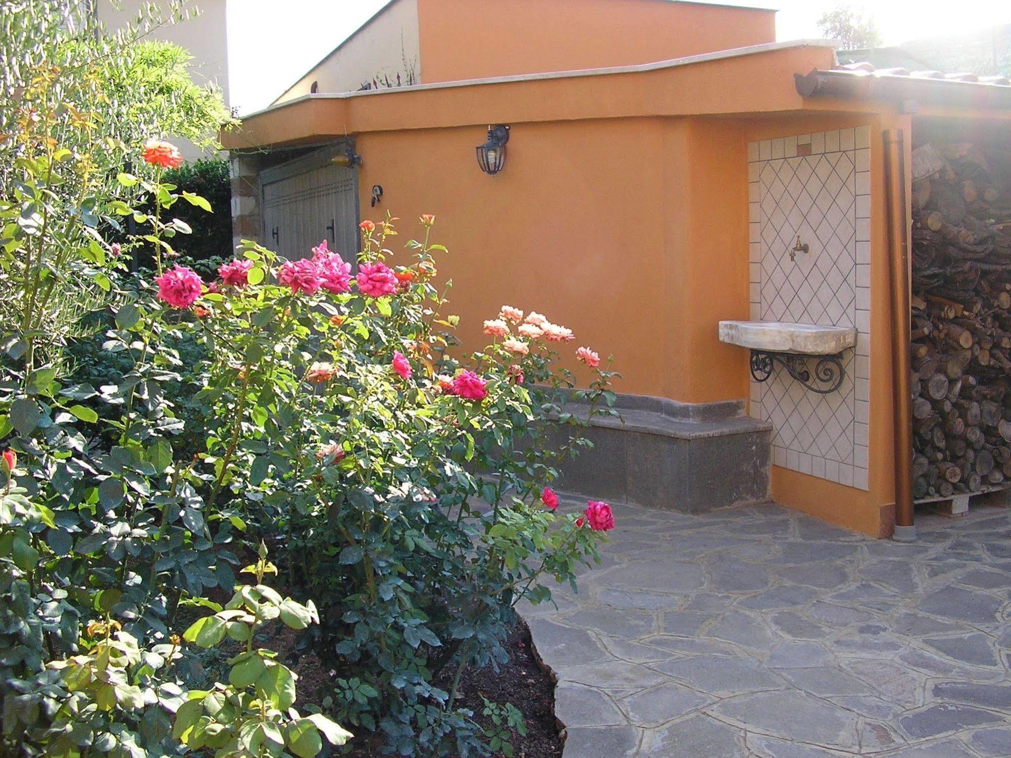 Al Vecchio Olivo Acomodação com café da manhã Frascati Exterior foto