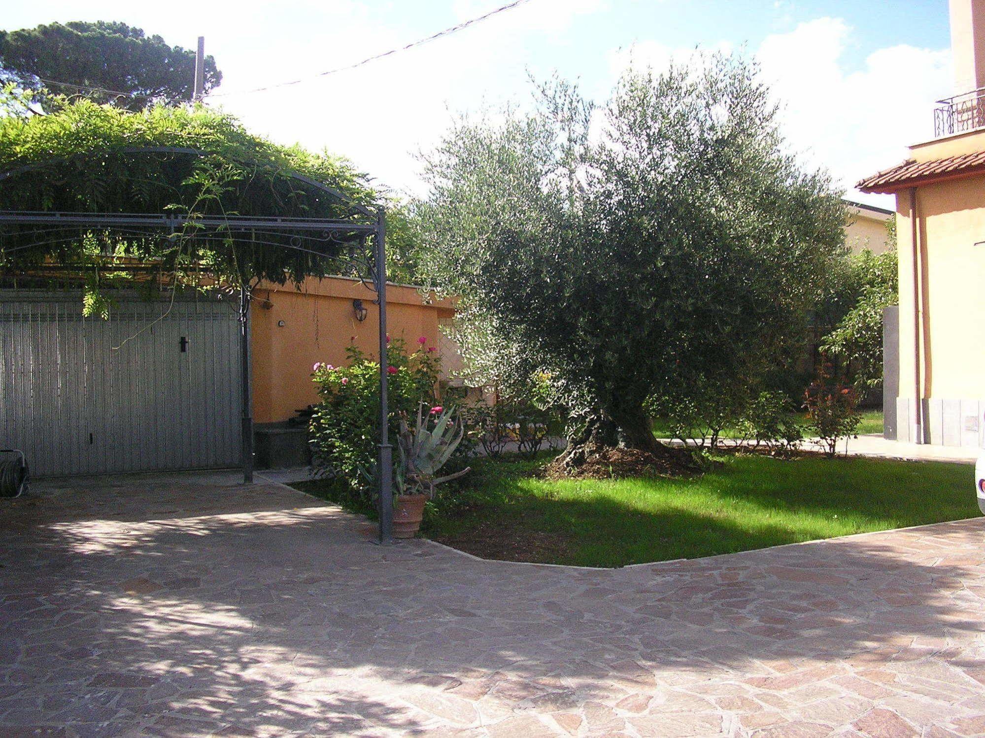 Al Vecchio Olivo Acomodação com café da manhã Frascati Exterior foto